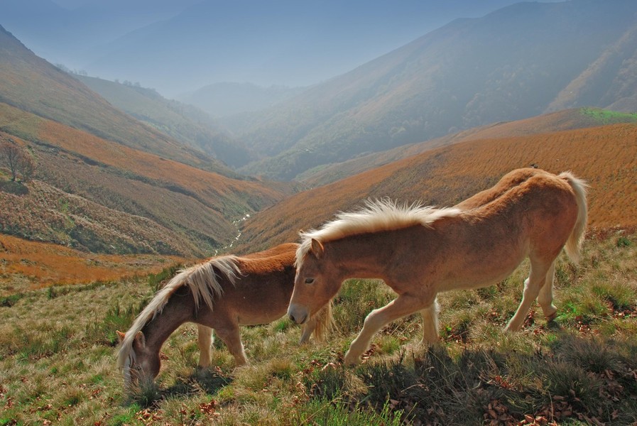 Reiten in Imperia, ist eine weitere Möglichkeit, die Batterien aufzuladen