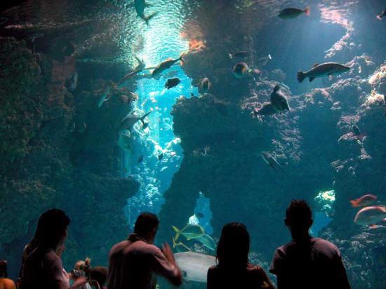 Un fine settimana a Monaco? Non perderti il Museo Oceanografico